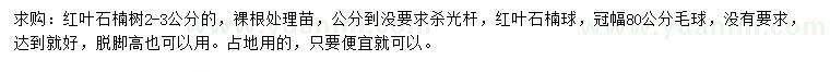 求购2-3公分红叶石楠、冠幅80公分红叶石楠毛球