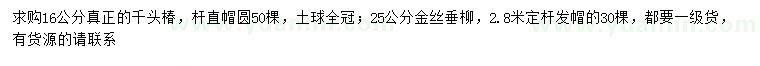 求购16公分千头椿、25公分金丝垂柳