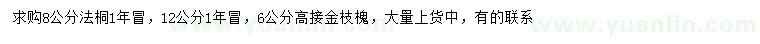 求购8公分法桐、6公分高接金枝槐