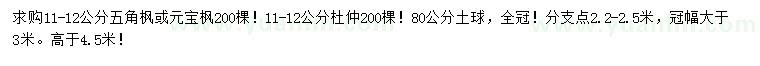 求购11-12公分五角枫或元宝枫