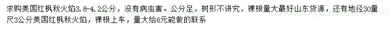 求购30量3、3.8-4.2公分美国红枫秋火焰