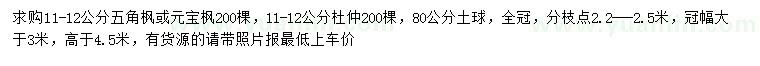 求购11-12公分五角枫或元宝枫、杜仲