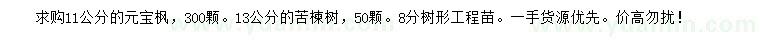 求购11公分元宝枫、13公分苦楝树