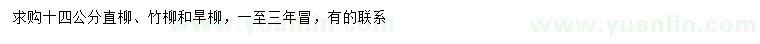 求购直柳、竹柳、旱柳