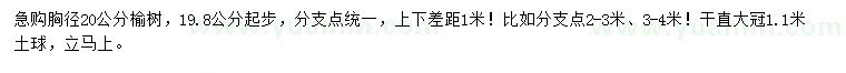 求购胸径19.8公分以上榆树