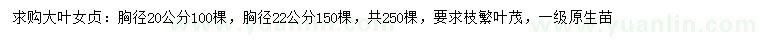 求购胸径20、22公分大叶女贞