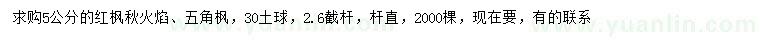 求购5公分红枫秋火焰、五角枫