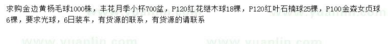 求购金边黄杨球、丰花月季、红花继木球等