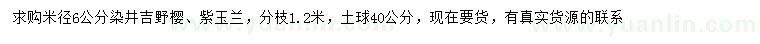 求购米径6公分染井吉野樱、紫玉兰