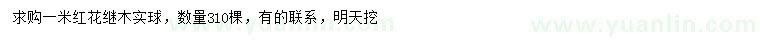 求购1米红花继木实球