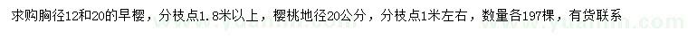 求购胸径12、20公分早樱、地径20公分樱桃树