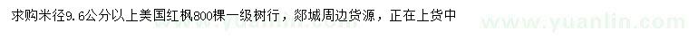 求购米径9.6公分以上美国红枫