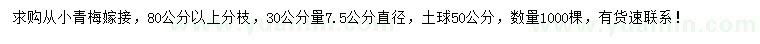 求购30量7.5公分红梅