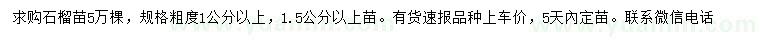 求购1、1.5公分以上石榴苗