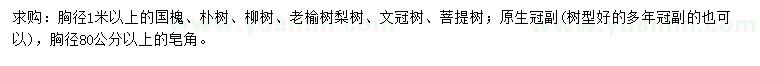 求购国槐、朴树、柳树等