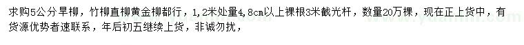 求购旱柳、竹柳、直柳等