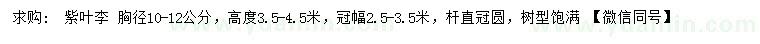 求购胸径10-12公分紫叶李