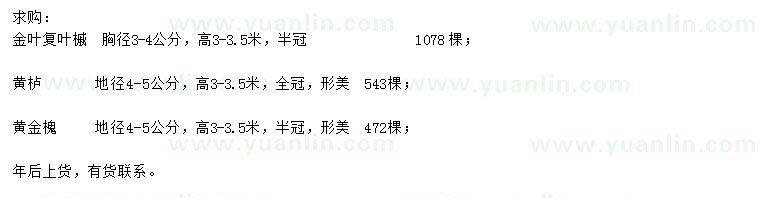 求购金叶复叶槭、黄栌、黄金槐