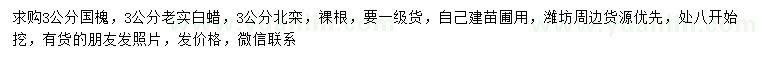 求购国槐、老实白蜡、北栾