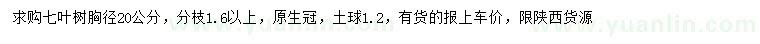 求购胸径20公分七叶树