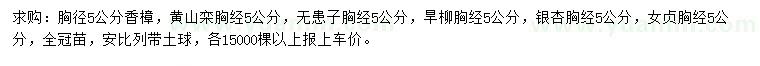 求购香樟、黄山栾、无患子等