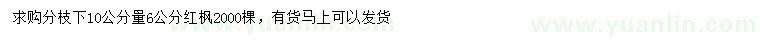 求购分枝下10公分量6公分红枫