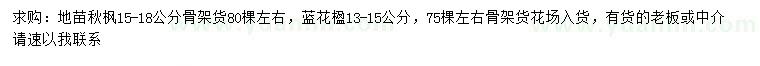 求购15-18公分秋枫、13-15公分蓝花楹