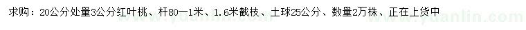 求购20公分量3公分红叶桃