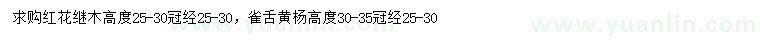 求购高25-30公分红花继木、30-35公分雀舌黄杨