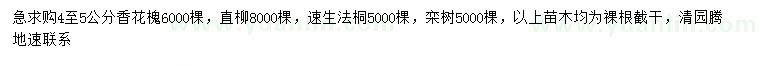 求购香花槐、直柳、速生法桐等