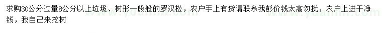 求购30公分量8公分以上罗汉松绿化苗木