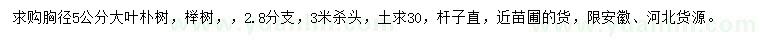 求购胸径5公分大叶朴树、榉树