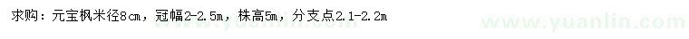 求购米径8公分元宝枫