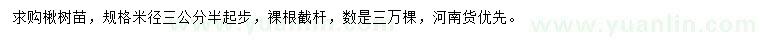 求购米径3.5公分起步楸树苗