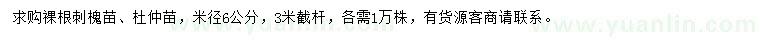 求购米径6公分刺槐苗、杜仲苗