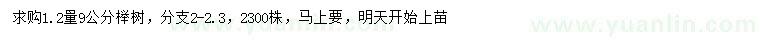 求购1.2米量9公分榉树