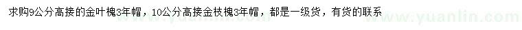 求购9公分高接金叶槐、10公分高接金枝槐