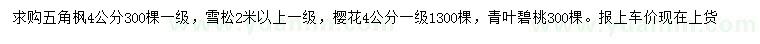 求购五角枫、雪松、樱花等