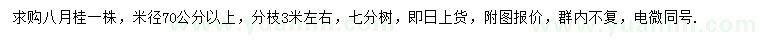 求购米径70公分以上八月桂