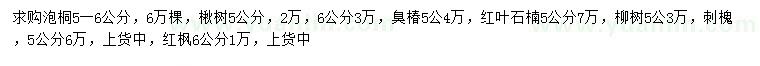 求购泡桐、楸树、臭椿等