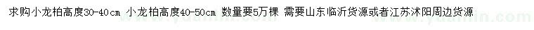 求购高30-40、40-50公分小龙柏