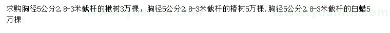 求购楸树、椿树、白蜡