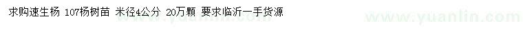 求购米径4公分速生杨、107杨树苗