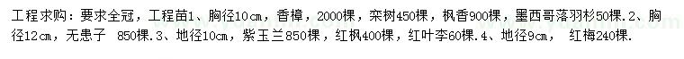 求购香樟、栾树、枫香等