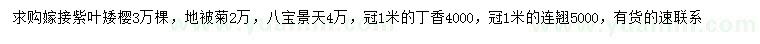 求购嫁接紫叶矮樱、地被菊、八宝景天等