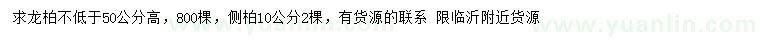 求购高50公分以上龙柏、10公分侧柏