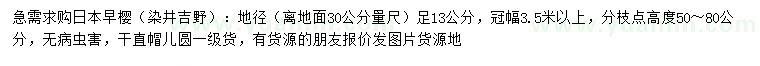 求购地径30公分量足13公分日本早樱（染井吉野）