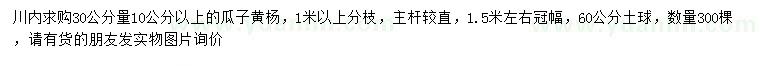 求购30公分量10公分以上瓜子黄杨