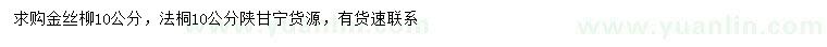 求购10公分金丝柳、法桐