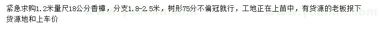 求购1.2米量18公分香樟